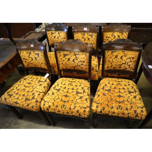 14 - A set of six early 19th century Anglo-Indian rosewood dining chairs, with carved frames and padded s... 