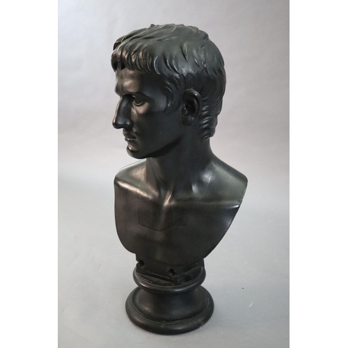 42 - D. Brucciani & Co of London. An ebonised plaster bust of Augustus, with integral socle, height 27in.... 