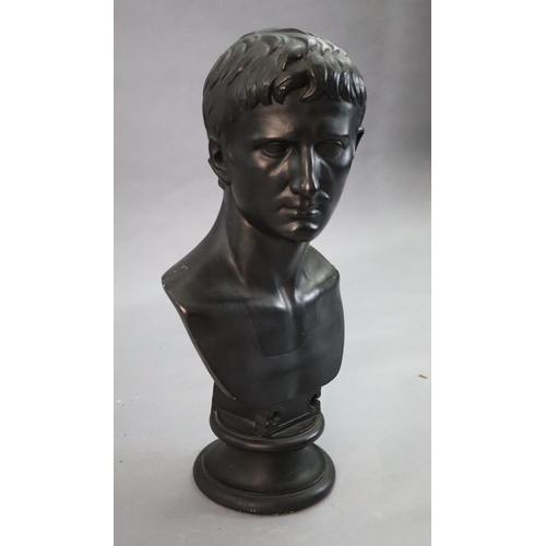 42 - D. Brucciani & Co of London. An ebonised plaster bust of Augustus, with integral socle, height 27in.... 