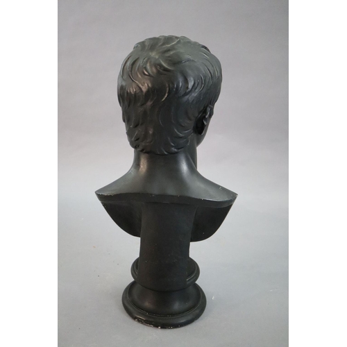 42 - D. Brucciani & Co of London. An ebonised plaster bust of Augustus, with integral socle, height 27in.... 