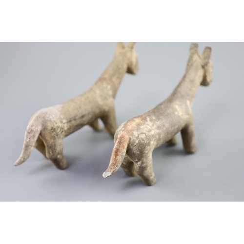 219 - A pair of Chinese grey pottery models of dogs, Han dynasty or later, 26cm long, repairs... 