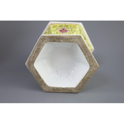 233 - A Chinese famille rose lantern and stand, Republic period, of hexagonal form painted with flowering ... 