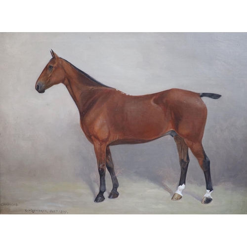 459 - William Joseph Redworth (1873-1941)set of 4 oils on canvasPortraits of Racehorses: Archdeacon, Chano... 