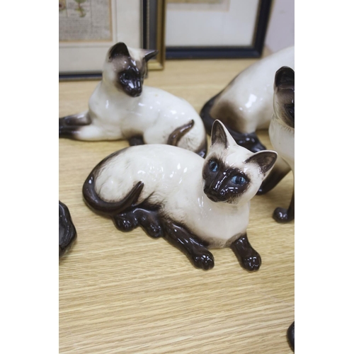 437 - Twelve Beswick cats including Siamese