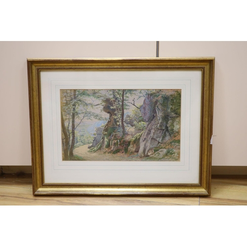 583 - William Biscombe Gardner (1847-1919), watercolour, Landscape near Tunbridge Wells, signed and dated ... 