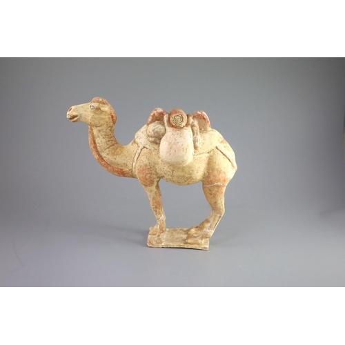 115 - A Chinese pottery model of a Bactrian camel and a similar head of a man, Tang Dynasty,the buff colou... 