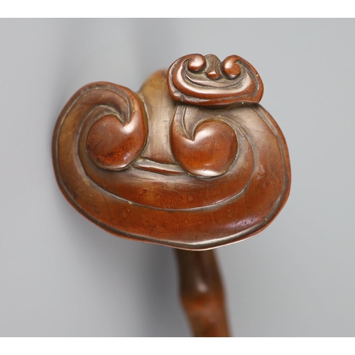 118 - A Chinese boxwood ruyi sceptre, 18th/19th century,carved as lingzhi fungus, warm caramel brown patin... 