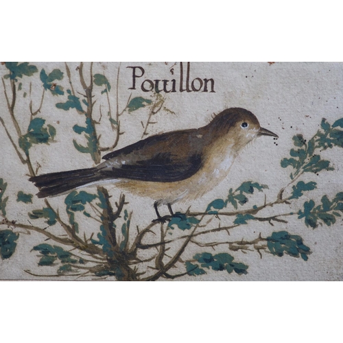 316 - Early 17th century French SchoolTwo bird studies, one title Pouillonbodycolour on paper10 x 15.5cm a... 