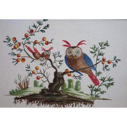 317 - L Champquin (fl.c1800)Owl and owlets in a stunted fruit treewatercolour18 x 26cm A local Private Col... 