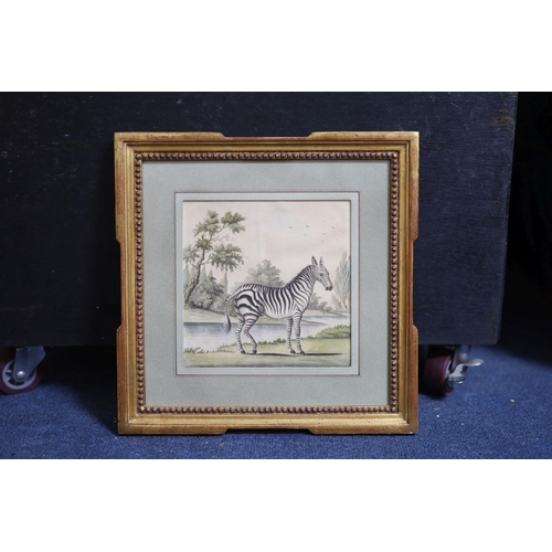 326 - English School c.1780Zebra in a South African landscapewatercolour on paper15 x 15cm A local Private... 