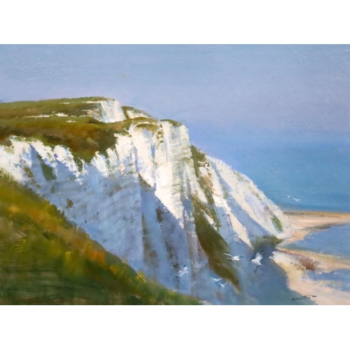 449 - Frank Wootton (1914-1998)Beachy Headoil on boardsigned and inscribed verso29 x 39.5cm... 