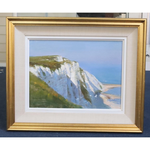 449 - Frank Wootton (1914-1998)Beachy Headoil on boardsigned and inscribed verso29 x 39.5cm... 