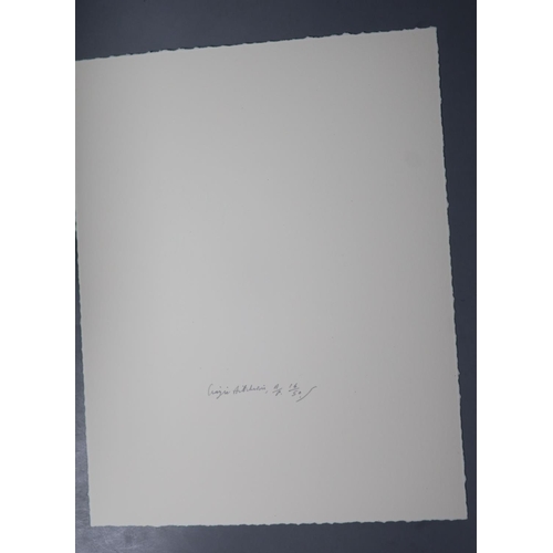 463 - § Craigie Ronald John Aitchison (1926-2009)Still life with bird vasescreenprint in colours2004, on S... 