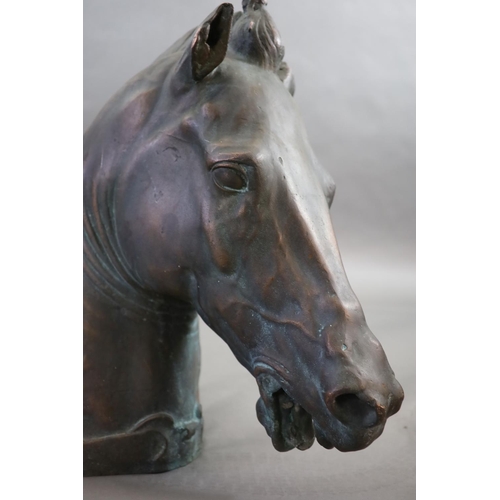 50 - A large and impressive life-size bronze model after the Medici Riccardi horses head, 20th century97... 