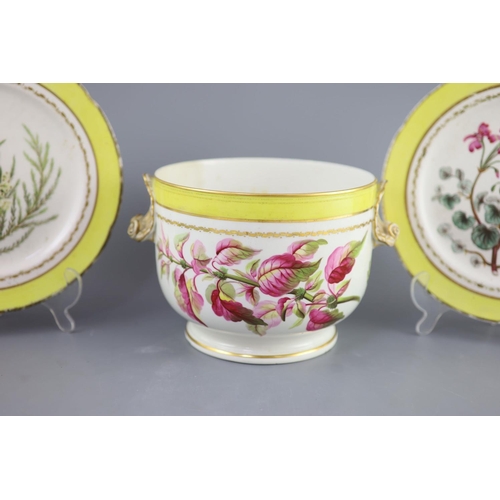 76 - A group of Derby yellow ground botanical dessert and dinner wares, c.1790-1810,each piece painted wi... 