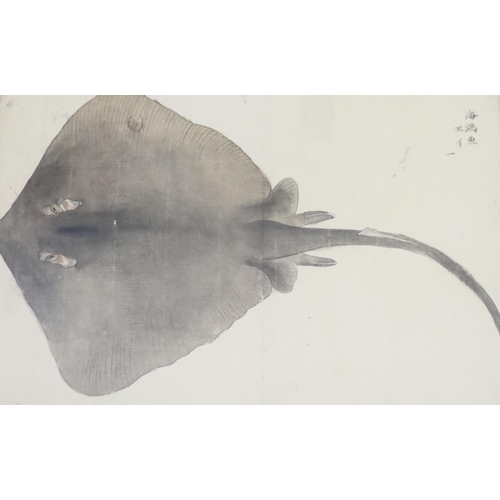 87 - Four 19th century Japanese paintings of fish,including a skate and a wrasp, the fish possibly have w... 