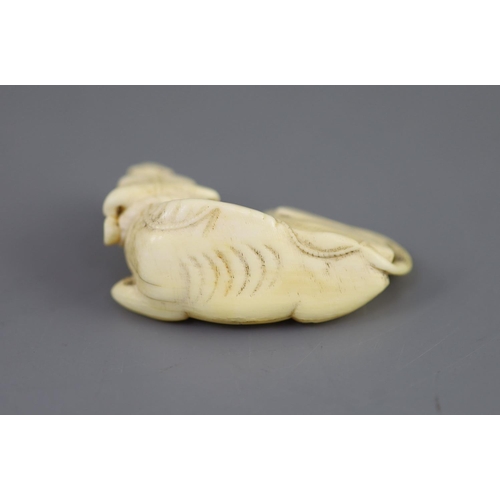 88 - Manner of Tomotada (late 18th - early 19th century), a Japanese ivory netsuke of a recumbent ox,unsi... 