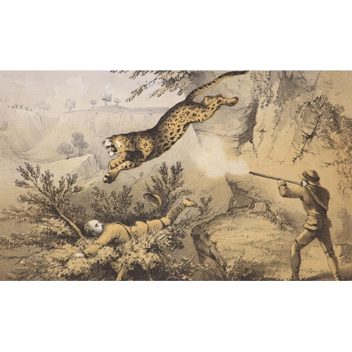 139 - °  Maj.Gen. - Tiger-Shooting in India: An Account of Hunting Experiences on Foot, 8vo, half calf wit... 