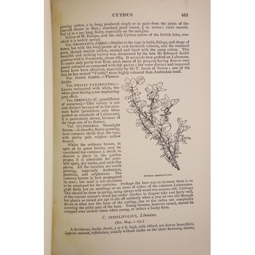 56 - °  Bean. W.J - Trees and Shrubs Hardy in the British Isles, 3 vols, 4th edition, 8vo, green pictoria... 