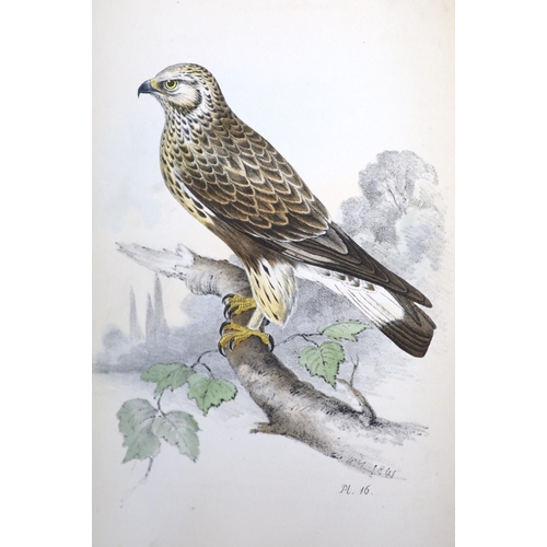 95 - °  Meyer, Henry Leonard - Illustrations of British Birds. Coloured Illustrations of British Birds.... 