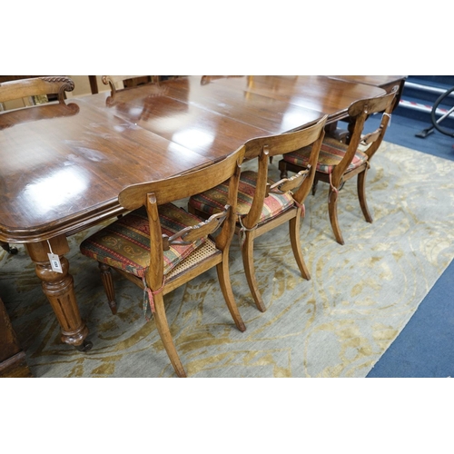 156 - A set of six Regency faded rosewood dining chairs with squab cane seats