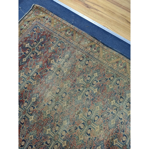 173 - Three antique rugs, Caucasian and North West Persian, largest 230 x 154cm