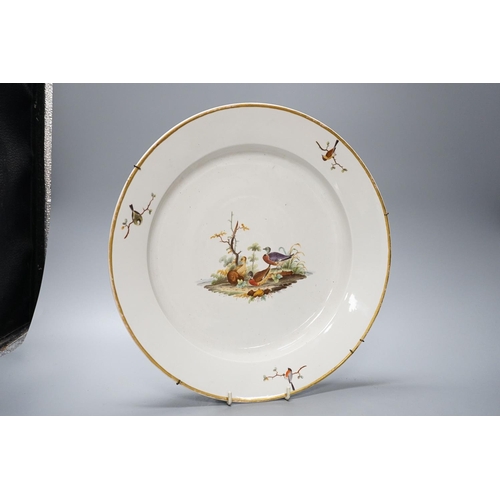 323 - An 18th century Furstenberg bird painted porcelain dish 34cm