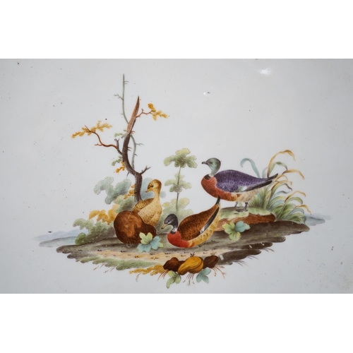 323 - An 18th century Furstenberg bird painted porcelain dish 34cm