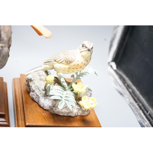 348 - Three Royal Worcester porcelain groups of birds, modelled by Dorothy Doughty - Redstart and Gorse... 