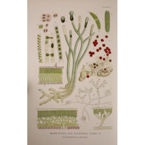 160 - °  Kerner, Anton [translator], and, Oliver, F.W - The Natural History of Plants their Forms, Growth,... 