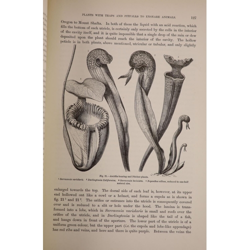 160 - °  Kerner, Anton [translator], and, Oliver, F.W - The Natural History of Plants their Forms, Growth,... 