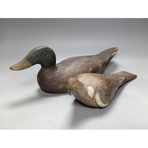 277 - Three early 20th century decoy pigeons, largest 38cm a decoy duck, 43.5cm and a similar woodcock (5)... 