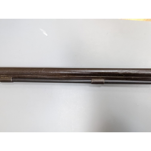 278 - A late 19th/early 20th century percussion cap musket,115 cms long.