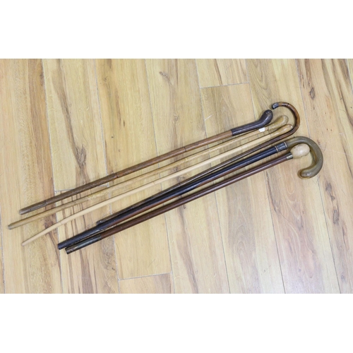 369 - Six various walking canes, horn handled cane, 84 cms high.