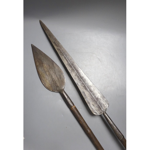 415 - Two East Africa, Transval (Zululand) spears, 236cm