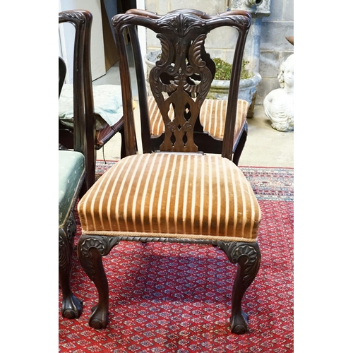 42 - A set of twelve early 20th century Chippendale revival carved mahogany dining chairs including two c... 