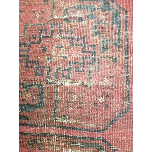 49 - Three small North West Persian rugs (worn), largest 205 x 122cm