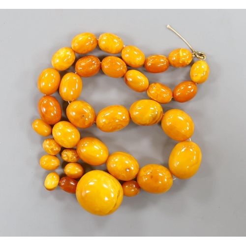 913 - A single strand graduated oval amber bead necklace, 43cm, gross weight 51 grams and a few loose ambe... 