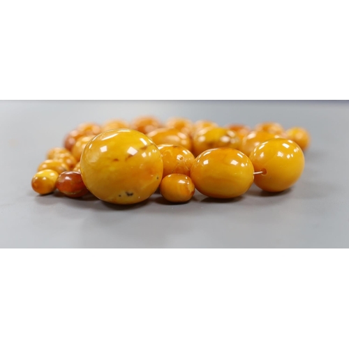 913 - A single strand graduated oval amber bead necklace, 43cm, gross weight 51 grams and a few loose ambe... 