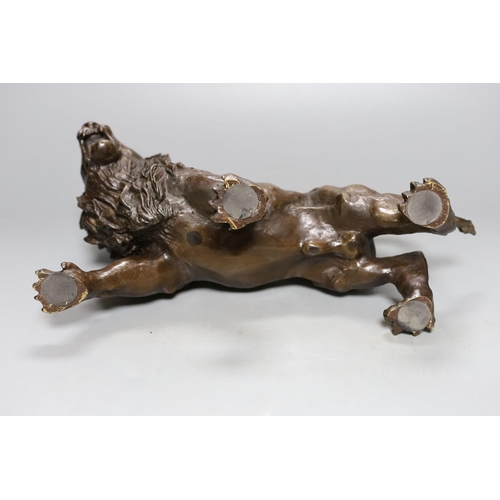 357 - A bronze lion, bearing a signature, Rodin, 31cm.