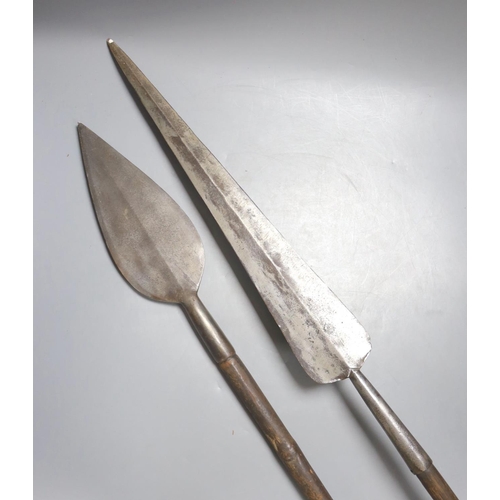 Lot 1475      