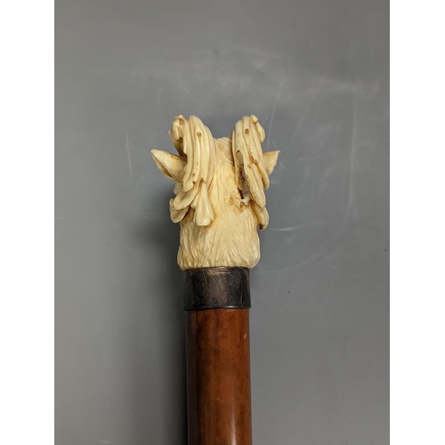 1309 - A late 19th century carved ivory ‘ram's head’ handled walking cane 89cm