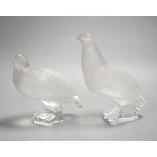 1344 - A pair Lalique  glass partridges,Tallest 17 cms high.