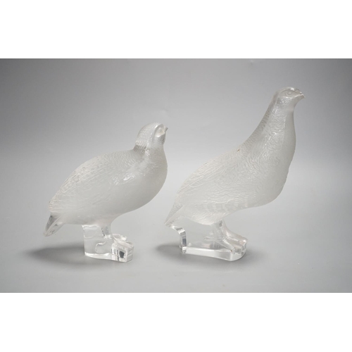 1344 - A pair Lalique  glass partridges,Tallest 17 cms high.