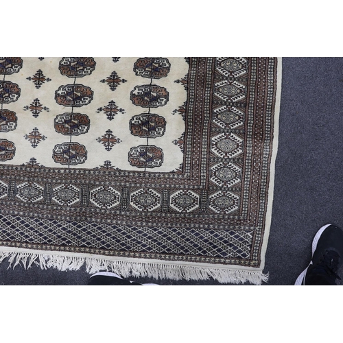 1227 - A Bokhara ivory ground rug, 246 x 156cm