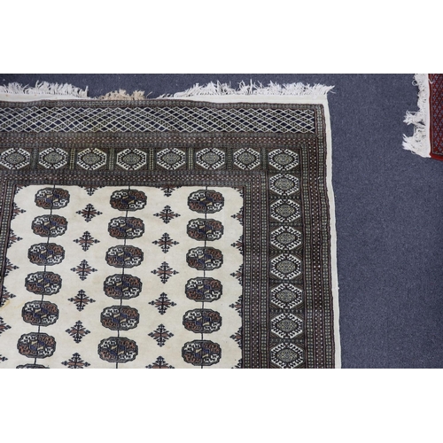 1227 - A Bokhara ivory ground rug, 246 x 156cm