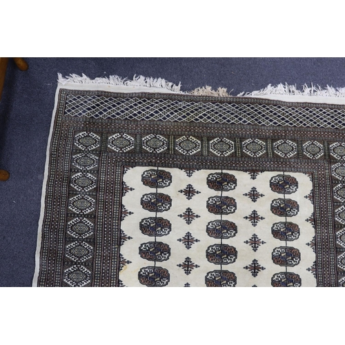 1227 - A Bokhara ivory ground rug, 246 x 156cm