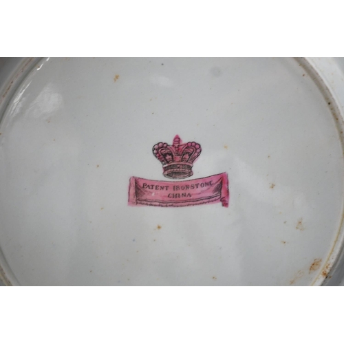 1338 - An early 19th century Mason's ironstone plate and a hydra jug (2)