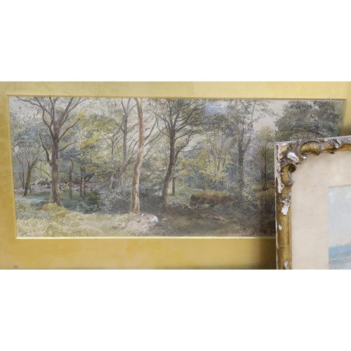 713 - F.E. Thomas (19th C.), three watercolours, 'In a wood, Clackford, South Devon', 'Les Autelets, Sark'... 