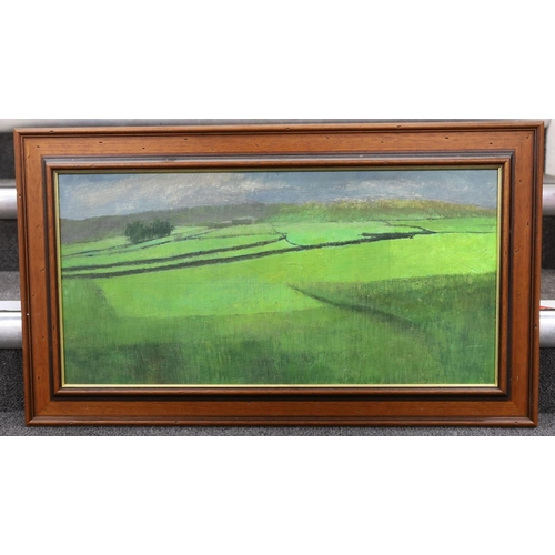 724 - Fred Whitehead, oil on board, Open landscape, 29 x 59cm